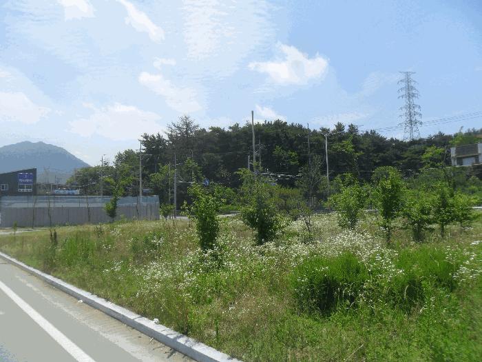 경상남도 창원시 의창구 동읍 신방리 921-8 대지 경매 사진 2