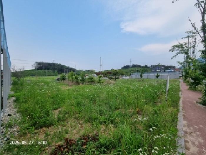 경상남도 창원시 의창구 동읍 신방리 921-8 대지 경매 사진 4