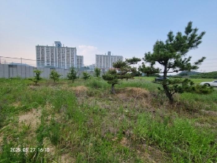 경상남도 창원시 의창구 동읍 신방리 921-8 대지 경매 사진 5