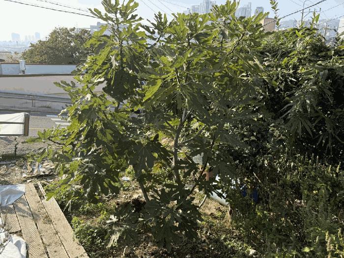 경상남도 김해시 지내동 413 전 경매 사진 5