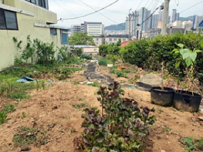 경상남도 김해시 지내동 413 전 경매 사진 9