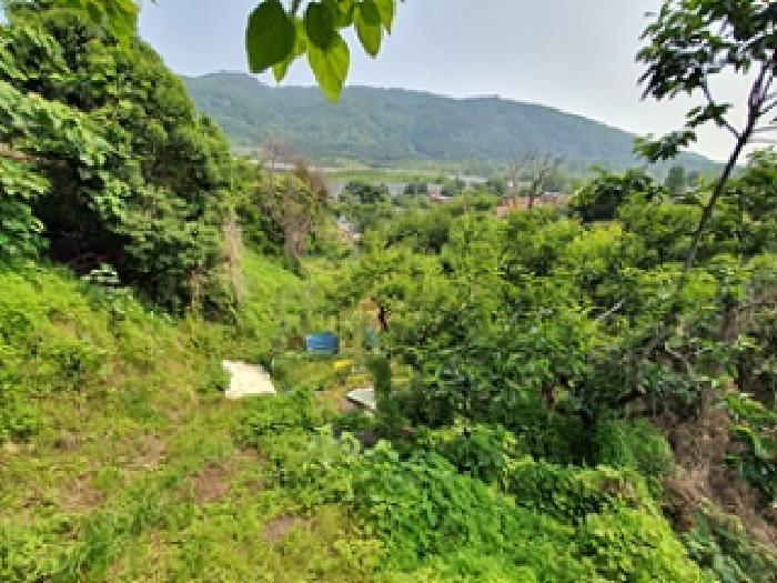 경상남도 창원시 진해구 경화동 1371-1 답 경매 사진 7