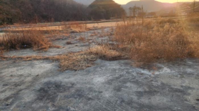 울산광역시 울주군 삼동면 보은리 632-2 대지 경매 사진 5