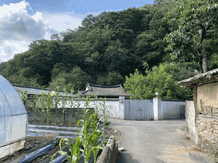 전라남도 담양군 용면 용연리 163 대지 경매 사진 7