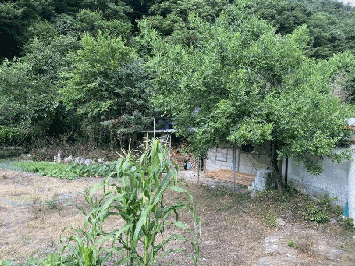 전라남도 담양군 용면 용연리 163 대지 경매 사진 8