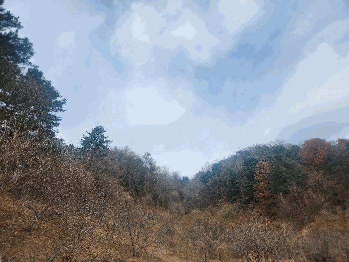 경기 가평군 임야
