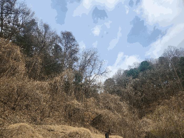 경기도 가평군 가평읍 산유리 산252-3 임야 경매 사진 3