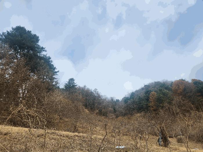 경기도 가평군 가평읍 산유리 산252-3 임야 경매 사진 4