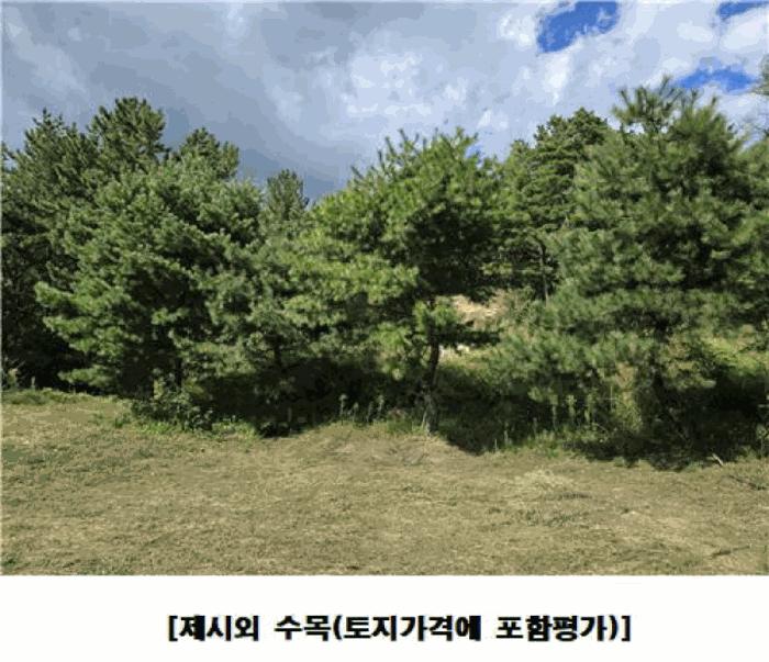 대전광역시 동구 주촌동 139-1 상가 경매 사진 12
