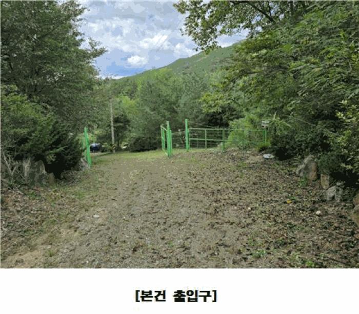 대전광역시 동구 주촌동 139-1 상가 경매 사진 2