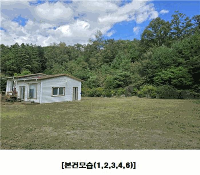 대전광역시 동구 주촌동 139-1 상가 경매 사진 3
