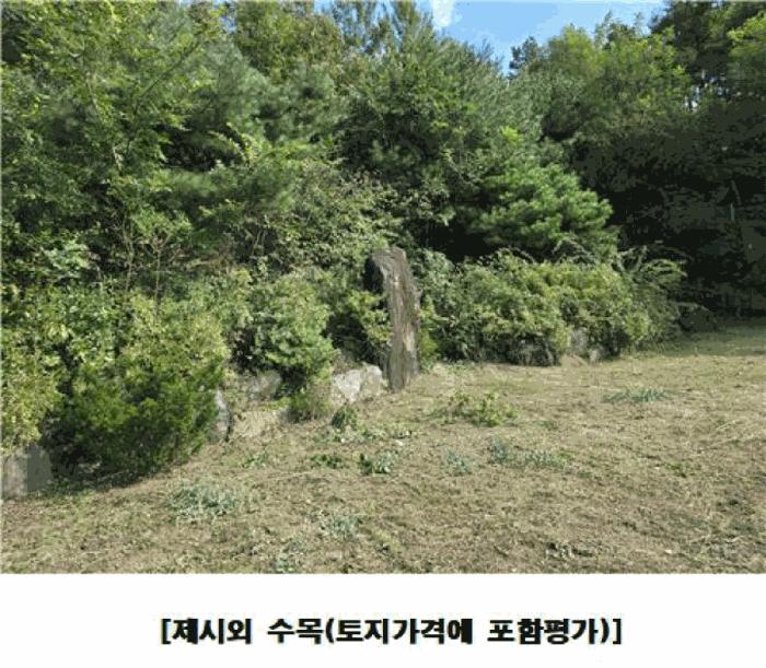 대전광역시 동구 주촌동 139-1 상가 경매 사진 6