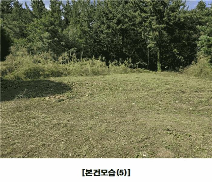 대전광역시 동구 주촌동 139-1 상가 경매 사진 9