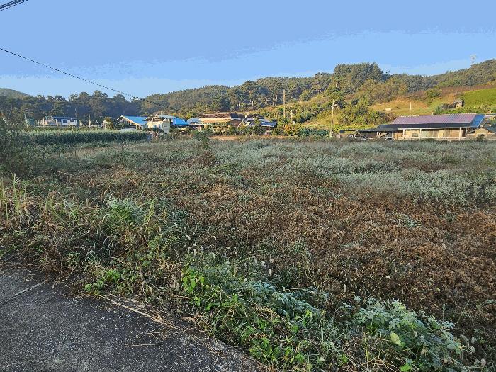 세종 금남면 답