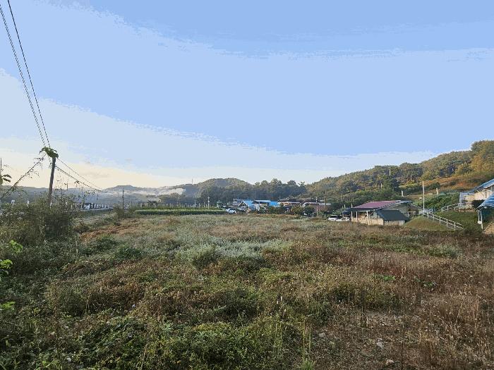 세종특별자치시 금남면 달전리 316-8 답 경매 사진 2