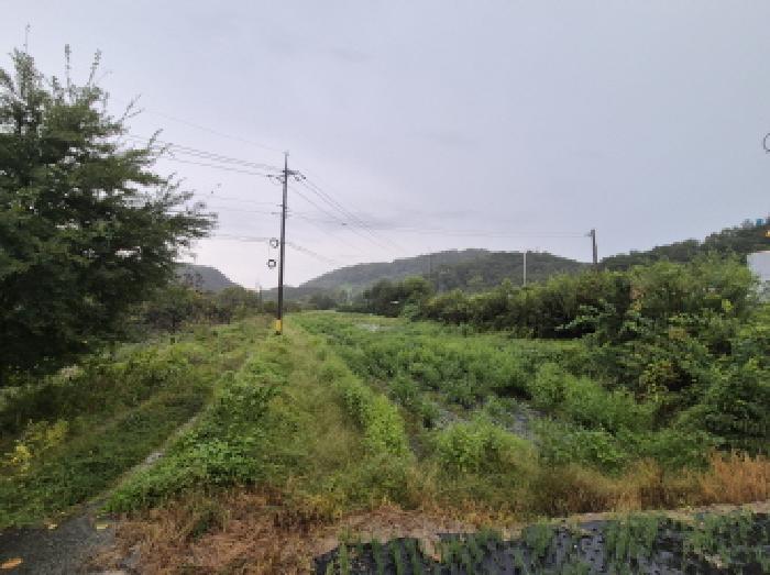 대전광역시 유성구 안산동 333-4 답 경매 사진 22