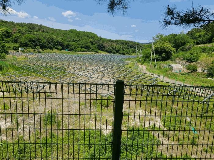 경상남도 함안군 법수면 백산리 503 답 경매 사진 2