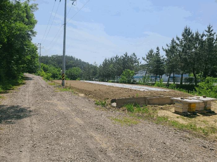 경상남도 함안군 법수면 백산리 503 답 경매 사진 3