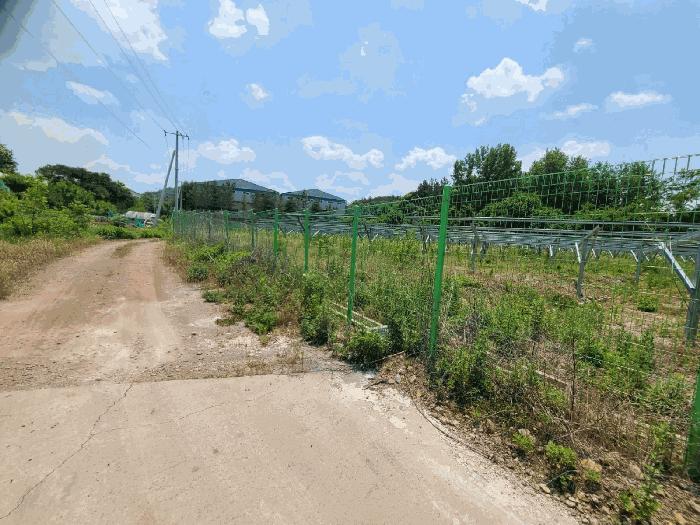 경상남도 함안군 법수면 백산리 503 답 경매 사진 4