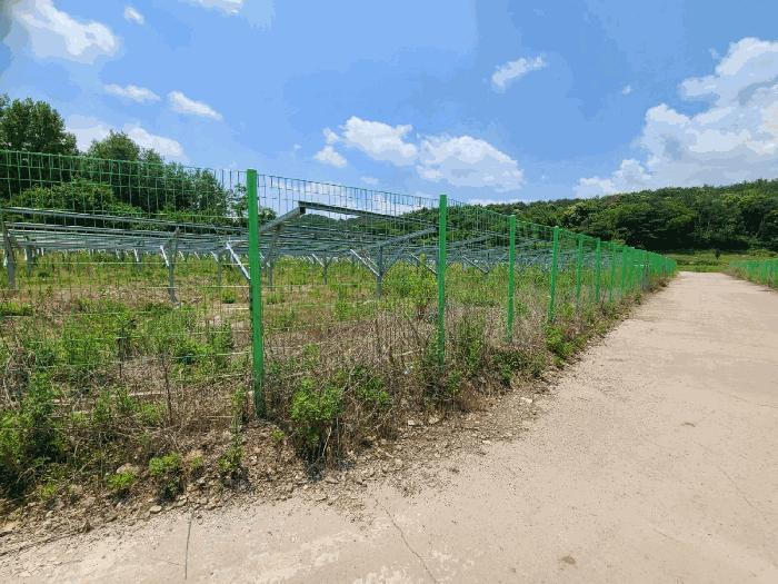 경상남도 함안군 법수면 백산리 503 답 경매 사진 7