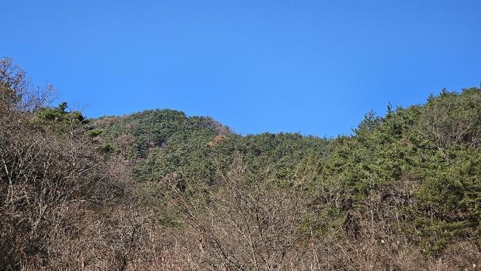 경상남도 창원시 마산회원구 내서읍 삼계리 산109 임야 경매 사진 14
