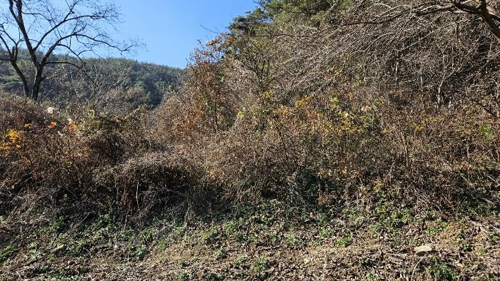 경상남도 창원시 마산회원구 내서읍 삼계리 산109 임야 경매 사진 9