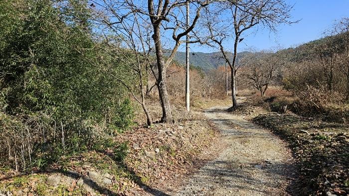 경상남도 창원시 마산회원구 내서읍 삼계리 산115 임야 경매 사진 10
