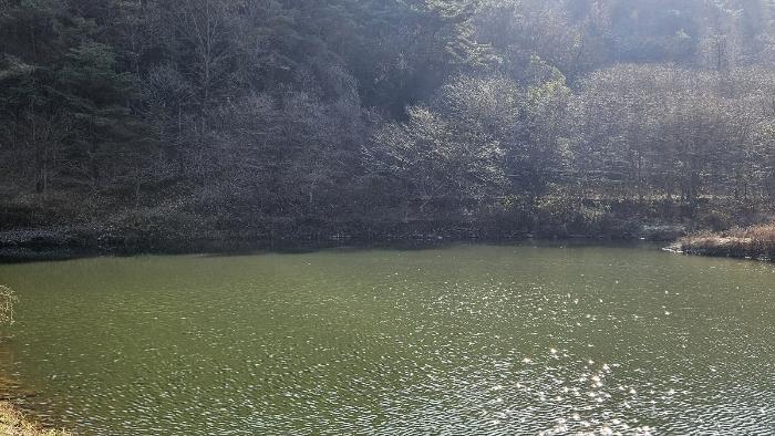 경상남도 창원시 마산회원구 내서읍 삼계리 1403 임야 경매 사진 11