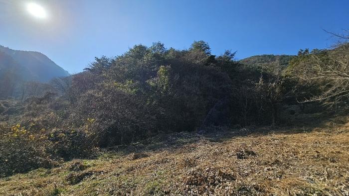 경상남도 창원시 마산회원구 내서읍 삼계리 1403 임야 경매 사진 2