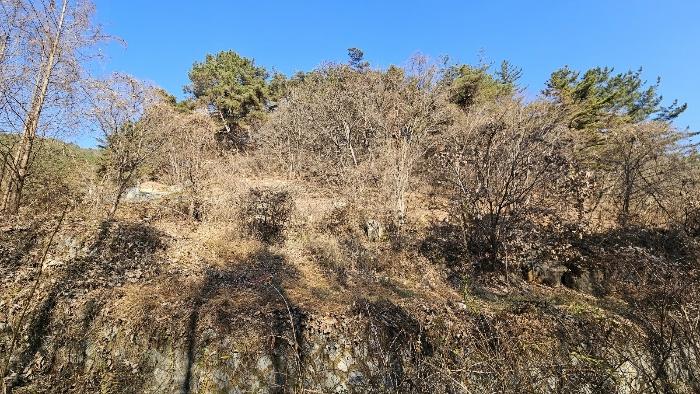 경상남도 창원시 마산회원구 내서읍 삼계리 1405 임야 경매 사진 17
