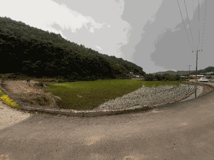 경상남도 의령군 화정면 상이리 848 답 경매 사진 2