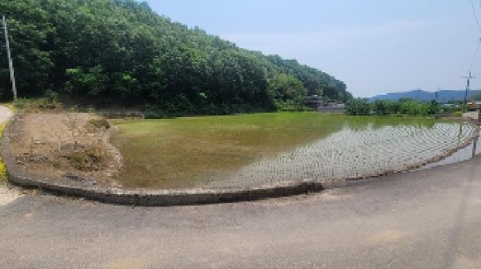 경상남도 의령군 화정면 상이리 848 답 경매 사진 5