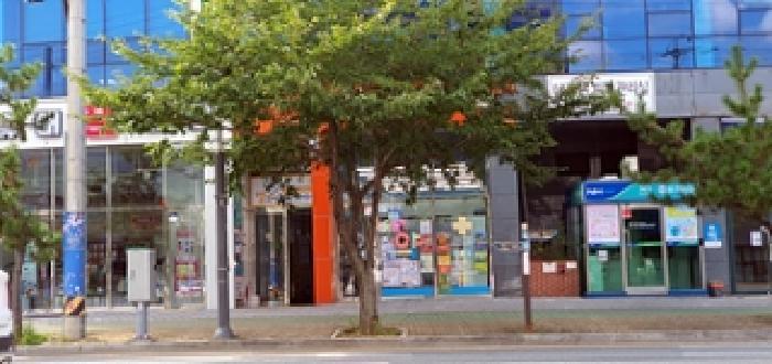 경상남도 창원시 진해구 남문동 1253-1 더원프라자1동 5층504호 근린상가 경매 사진 8