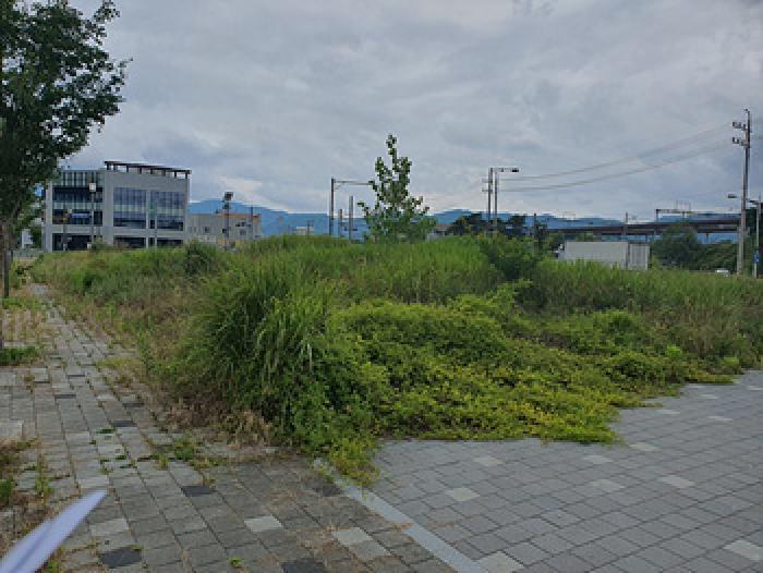 경상남도 김해시 진례면 고모리 1575-1 대지 경매 사진 6