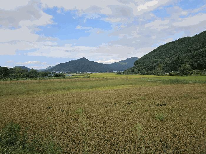 경상남도 창원시 의창구 북면 화천리 540-1 답 경매 사진 2