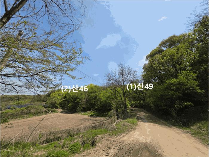경기도 연천군 전곡읍 늘목리 산49 임야 경매 사진 10