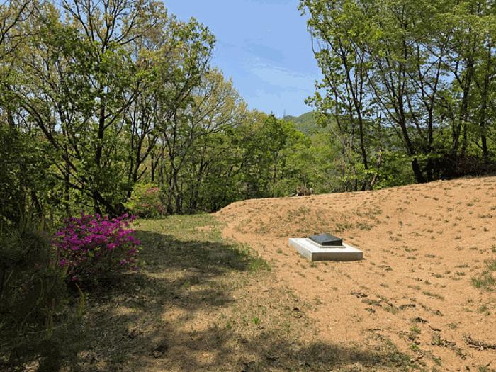 경기도 연천군 전곡읍 늘목리 산49 임야 경매 사진 11