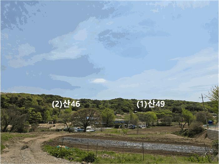 경기도 연천군 전곡읍 늘목리 산49 임야 경매 사진 13