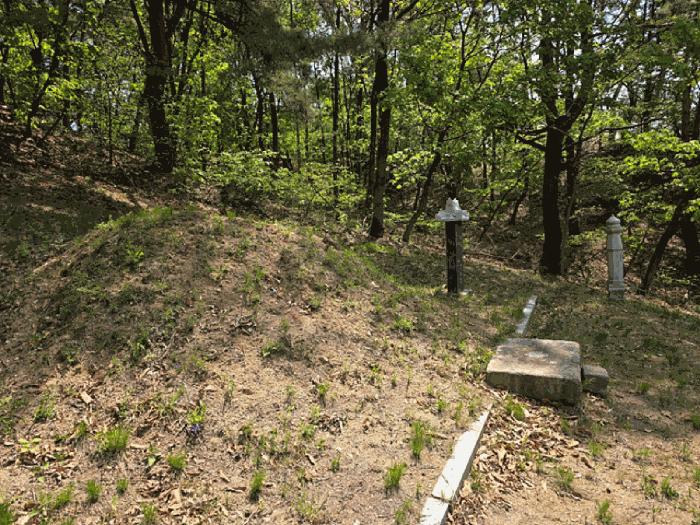 경기도 연천군 전곡읍 늘목리 산49 임야 경매 사진 14