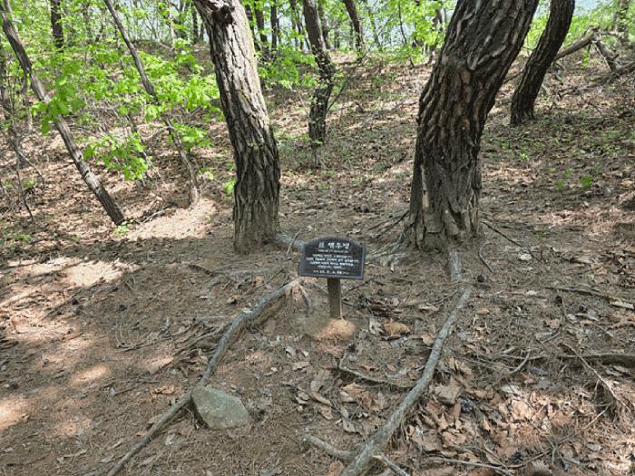 경기도 연천군 전곡읍 늘목리 산49 임야 경매 사진 15
