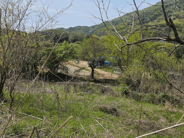 경기도 연천군 전곡읍 늘목리 산49 임야 경매 사진 17