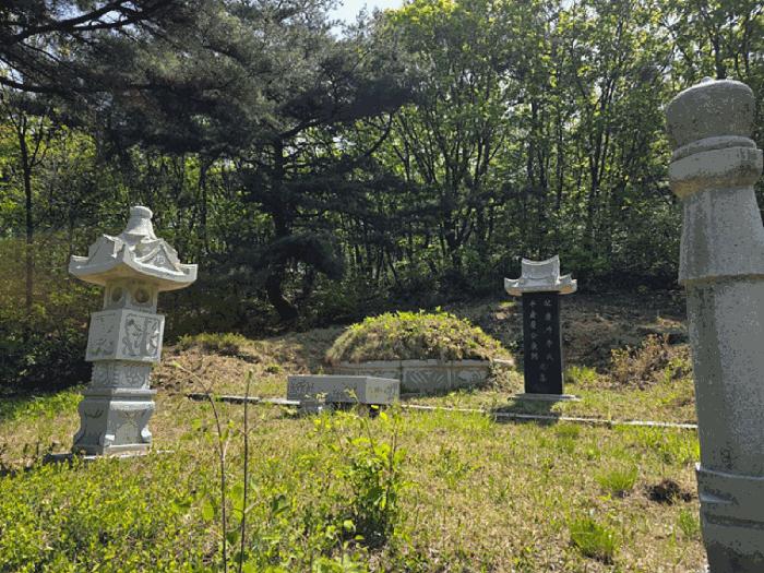 경기도 연천군 전곡읍 늘목리 산49 임야 경매 사진 2