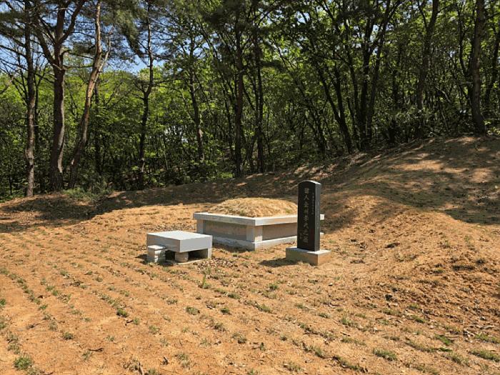 경기도 연천군 전곡읍 늘목리 산49 임야 경매 사진 6
