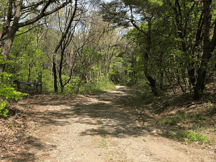 경기도 연천군 전곡읍 늘목리 산49 임야 경매 사진 7