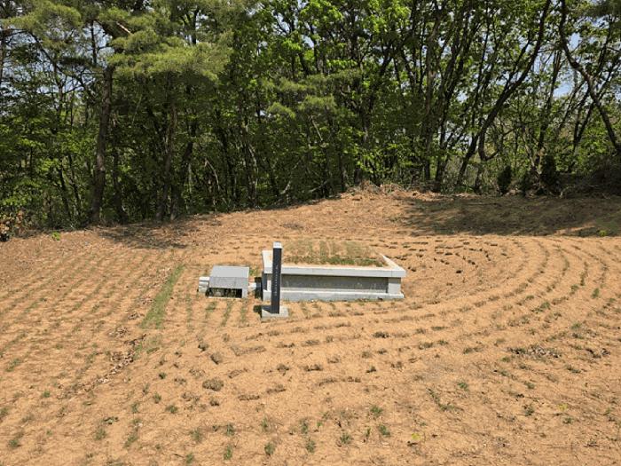 경기도 연천군 전곡읍 늘목리 산49 임야 경매 사진 9
