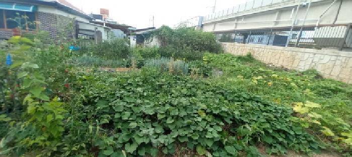 경기도 연천군 전곡읍 전곡리 452-5 대지 경매 사진 6
