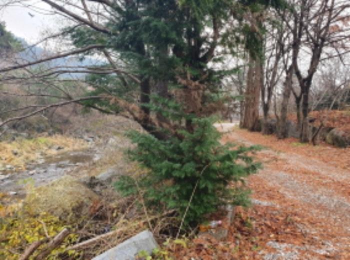 경기도 남양주시 수동면 외방리 370 근린시설 경매 사진 23