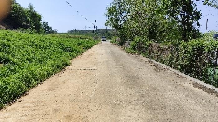 충청남도 홍성군 은하면 대판리 179-1 전 경매 사진 3