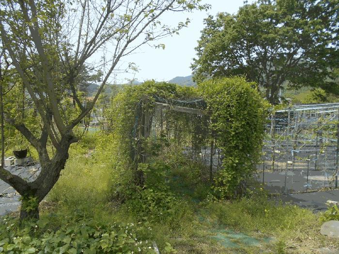 경기도 가평군 가평읍 개곡리 880-7 도로 경매 사진 13