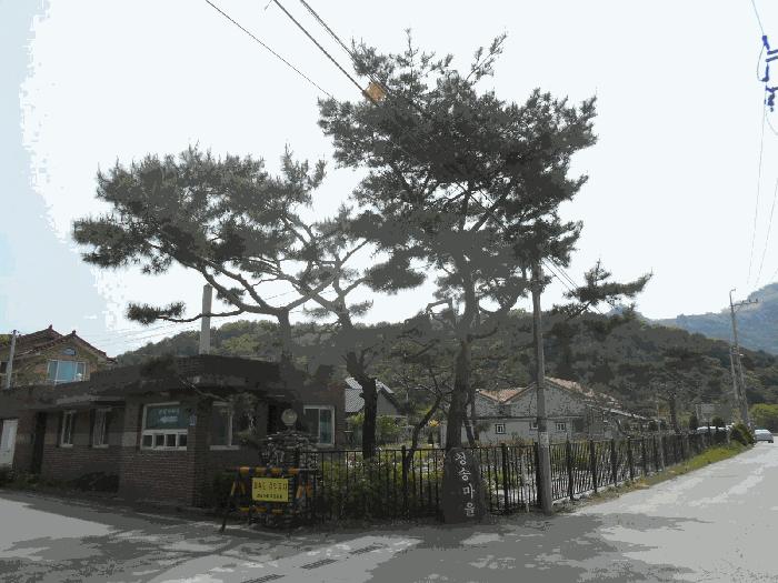 경기도 가평군 가평읍 개곡리 880-7 도로 경매 사진 6